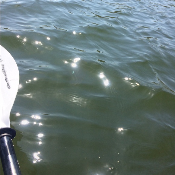 Meet your Posher, Kennadi - Picture 1 of 1